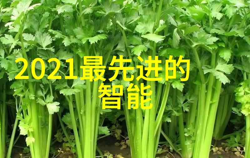 层析柱技术高效液相色谱分析工具