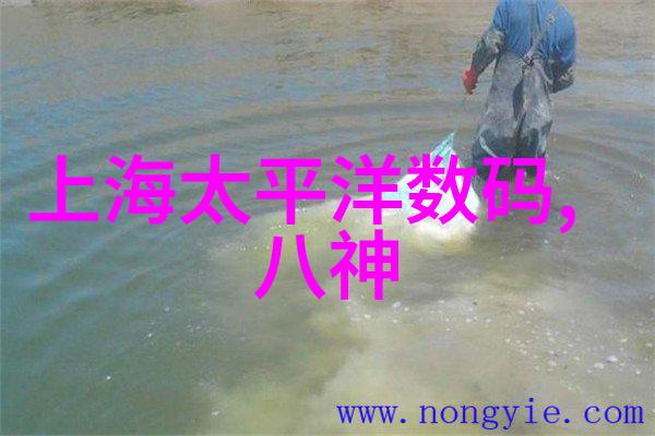 网络上流传的鸡插英语课代表视频一段令人瞩目的教育趣事