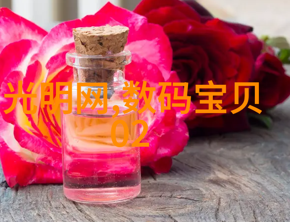 洁口宝蒸汽之翼下的口腔健康守护者