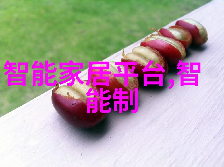 农村新风尚现代化厕所设计图谱
