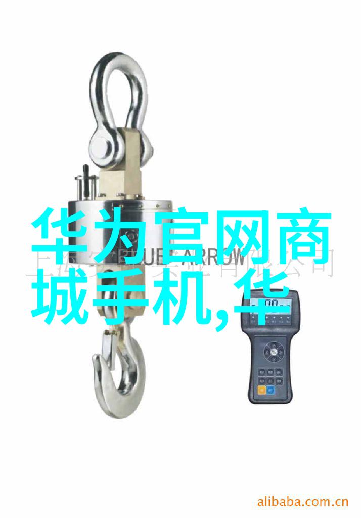 在城市规划中如何将高效的水质监测网络融入设计之中