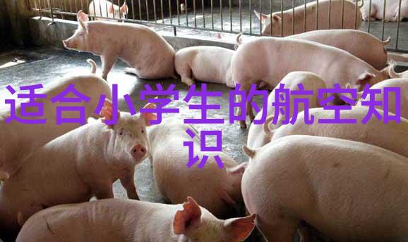 反应釜设计图化学实验室中的关键设备与安全考虑