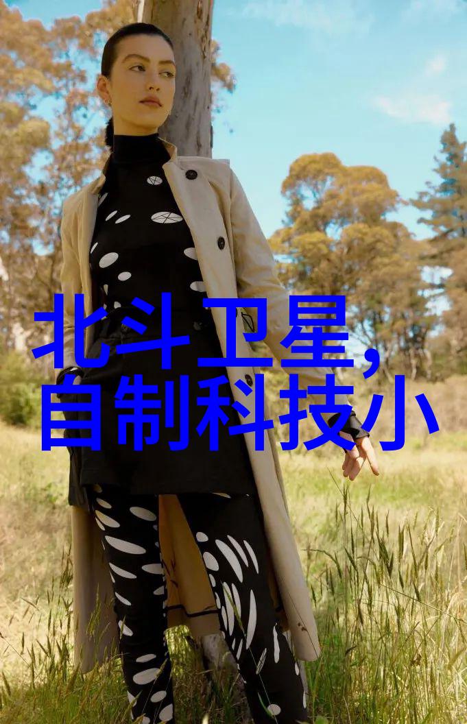 高效混合技术的引领者新一代搅拌机生产设备的崛起