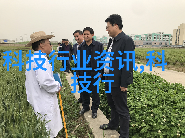 深圳装修设计全指南从空间规划到风格搭配