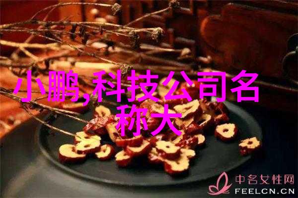 神秘的财富卡 - 揭秘神秘的财富卡背后的谜团