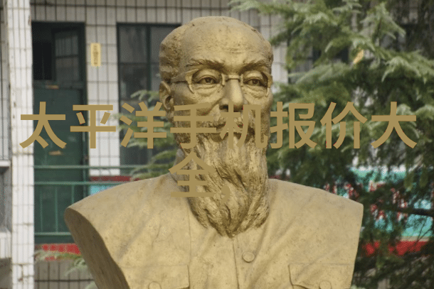 探寻传说中的领袖最佳野王背后的故事与智慧