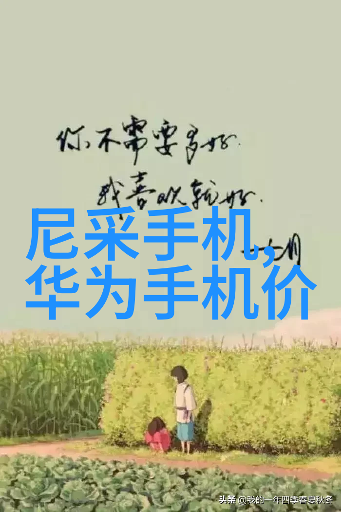 波纹填料的秩序之谜寻找规整与美观之间的平衡