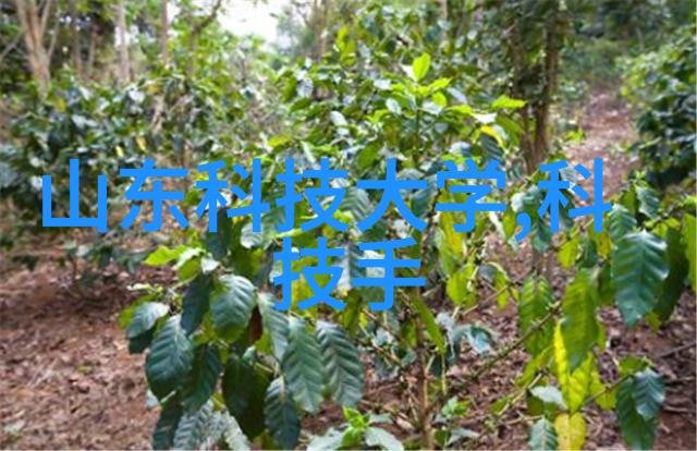 北京高低温试验箱极端环境下的实验室之心