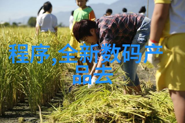 材料科学 - 波纹填料的秘密探索压延孔板的奇妙应用