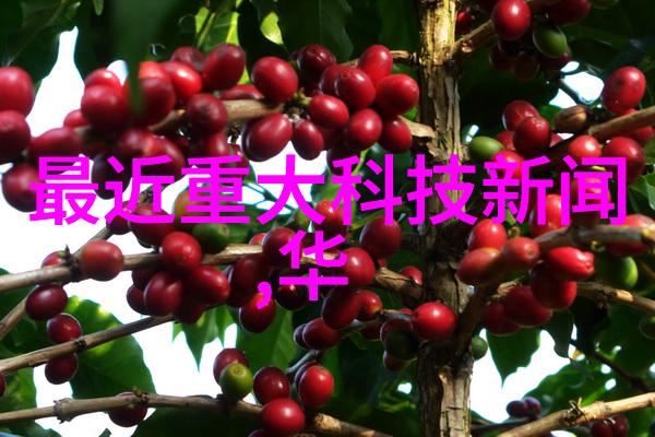 智能家装全屋智能系统我的智慧居家如何通过全屋智能系统让生活更便捷