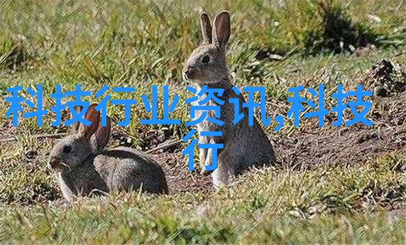 苏州移动为2024张家港长江马拉松系列赛保驾护航