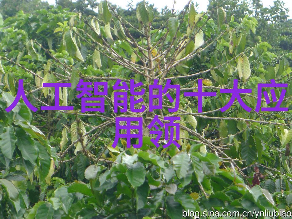 时尚与实用并存现代套房客厅装饰方案