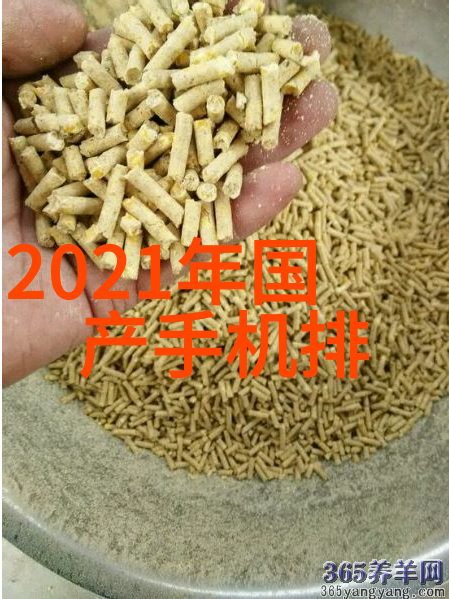 逆袭之轮辋双雄驾驰的都市竞速