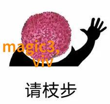 物业管理规费详细解析与支付指南