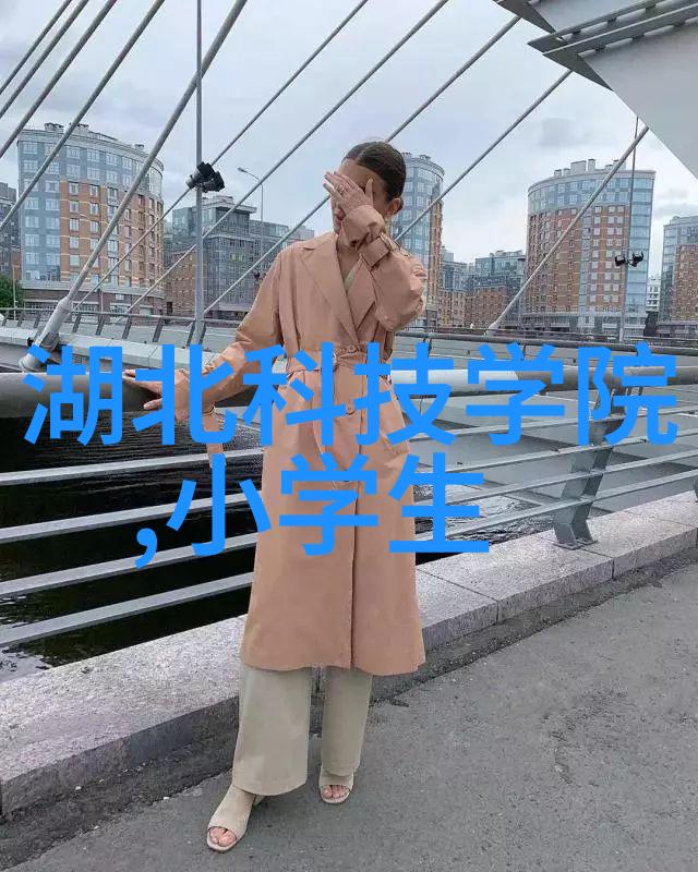 工业袋式除尘器厂家清洁工的守护者与创新之源
