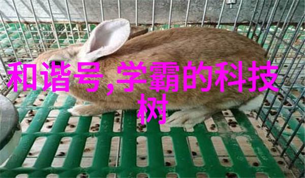 西南财经政法大学融合财经与法学的智慧殿堂