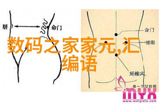 不锈钢波纹填料用途 - 不锈钢波纹填料的多功能应用从水处理到建筑装饰