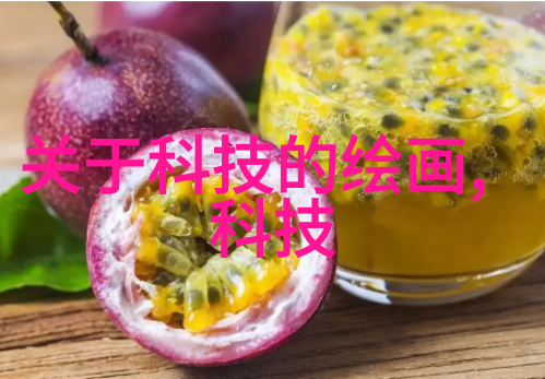 房子装修设计-精致生活家居空间布局与装饰艺术的完美结合