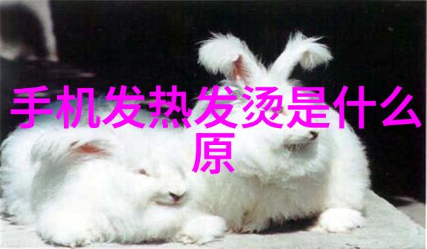跨界创新与实用性之争如何让你的工作流程更智能化利用一台高品质的二噸級别的小尺寸油壓泵發動機組