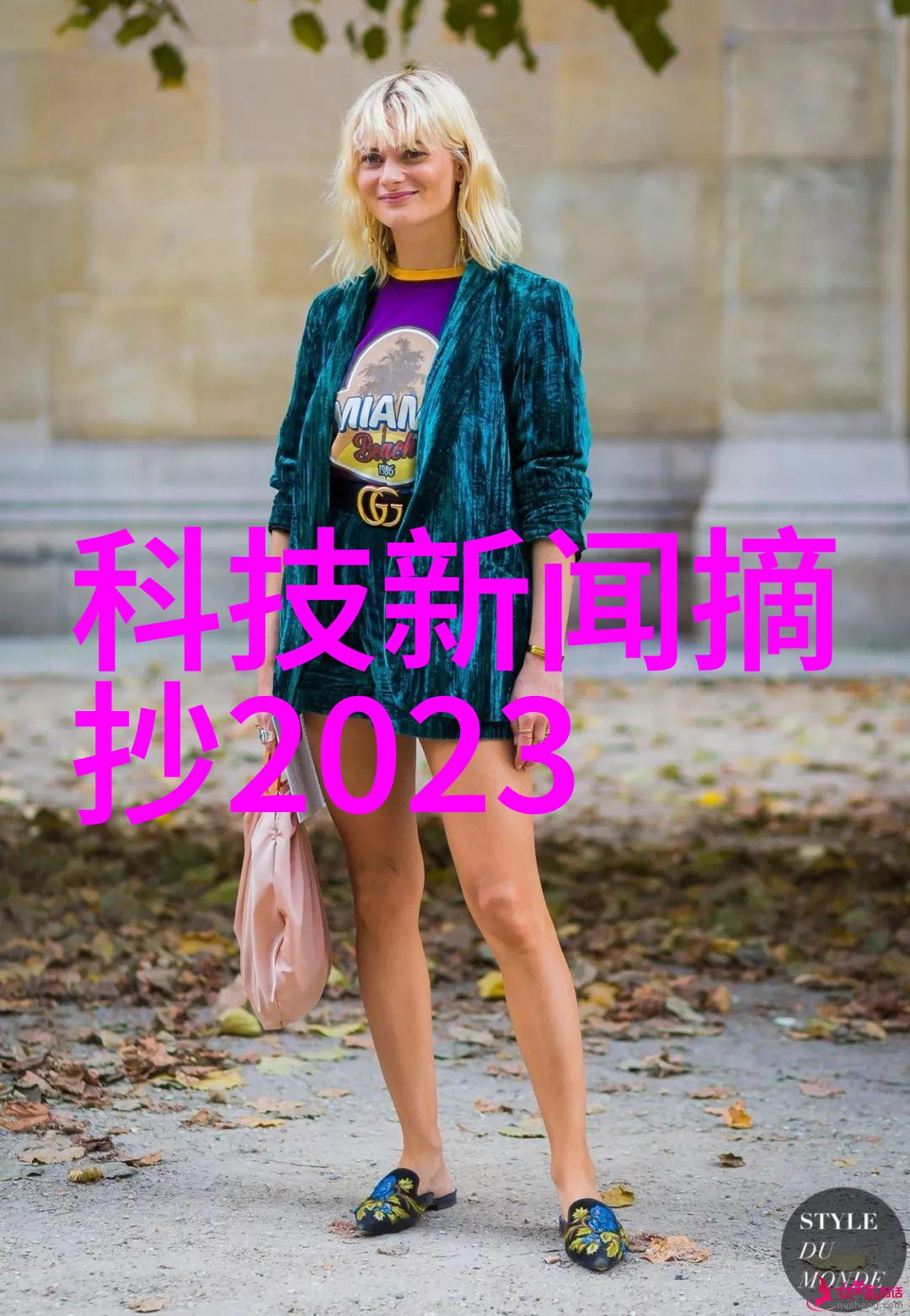 冷宫皇后猫小猫我和那只被冷宫的皇后遗忘的小猫