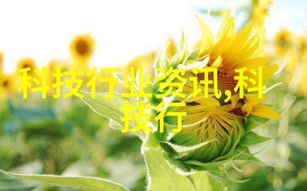 无电视墙的客厅设计图-创意布局让空白空间成为家居美学的新趋势