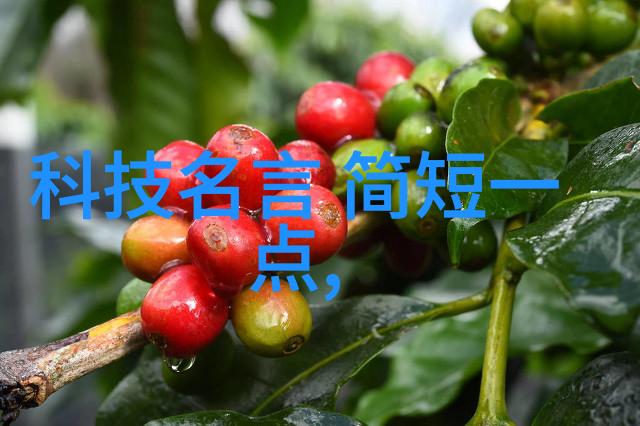 未来的智慧揭秘那些改变世界的科技创新论文