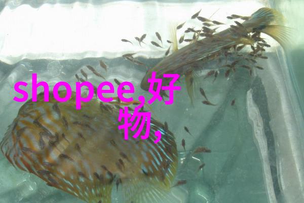 脱水机水分净化的高效伙伴
