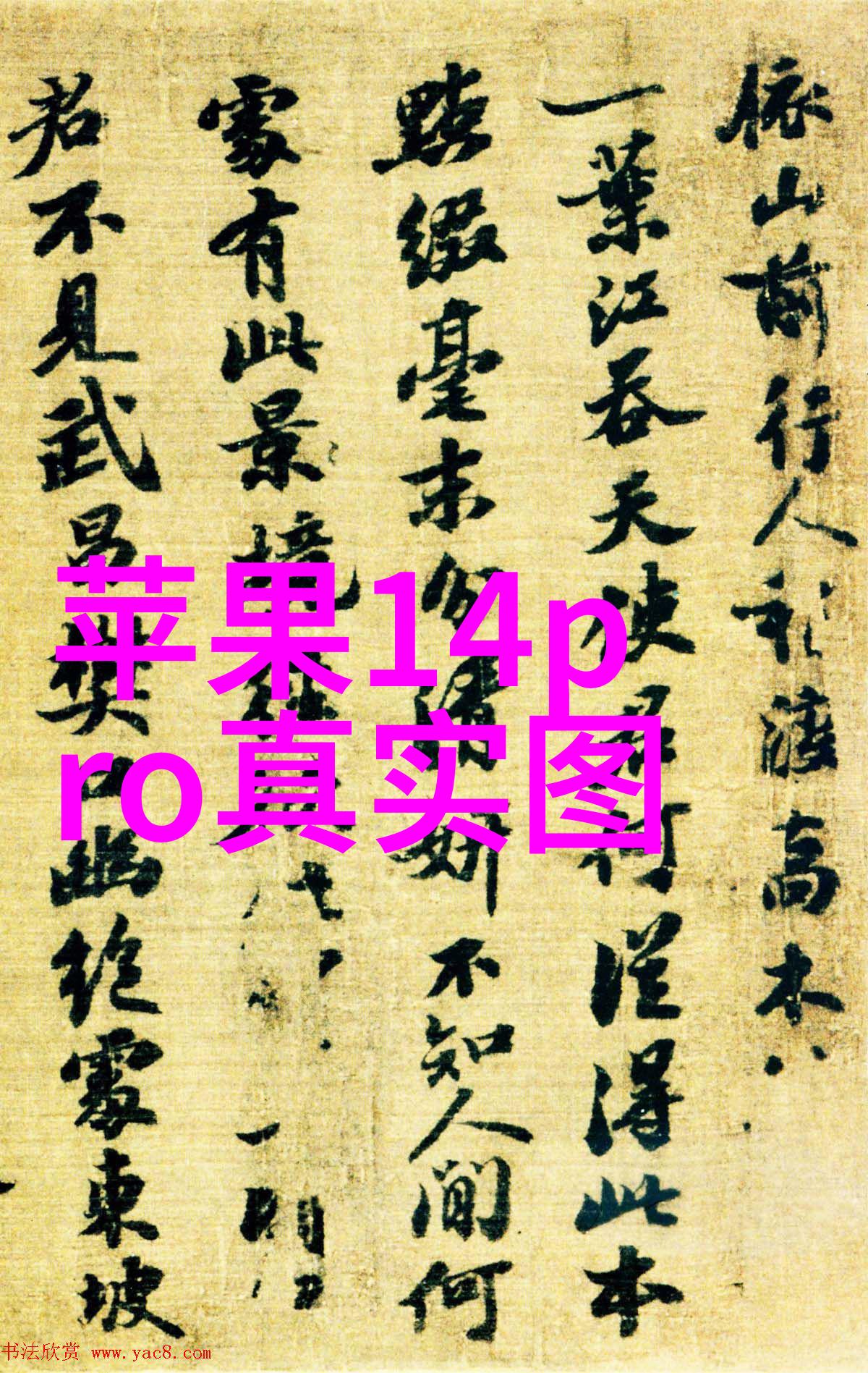 电动车爱好者必备全方位配件指南