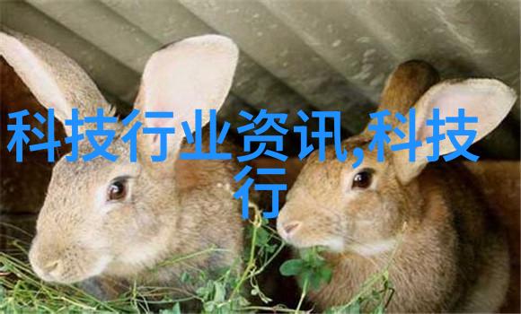 实验室设备实验台厂家从静谧的科技殿堂到忙碌的创意工场