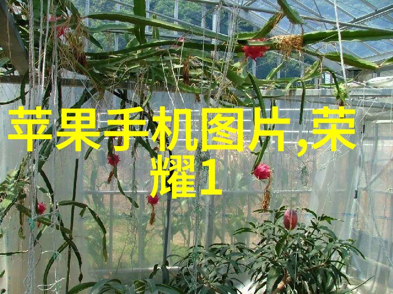 听说tuttnauer蒸汽灭菌器性能卓越能否详细解释其工作原理