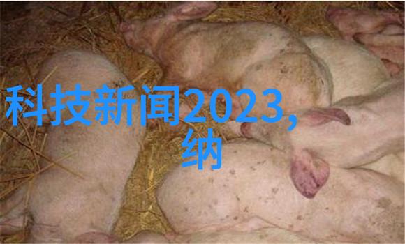 制冷设备-冰点追踪探索高效制冷技术的未来趋势