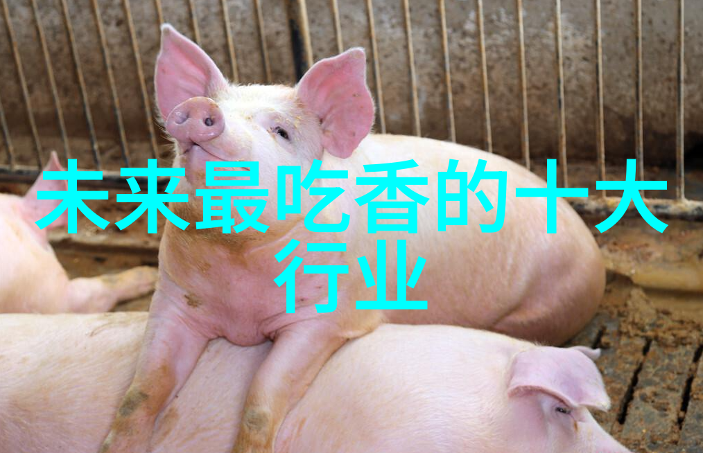 深夜中的蔷薇之恋探索魅力txt的世界