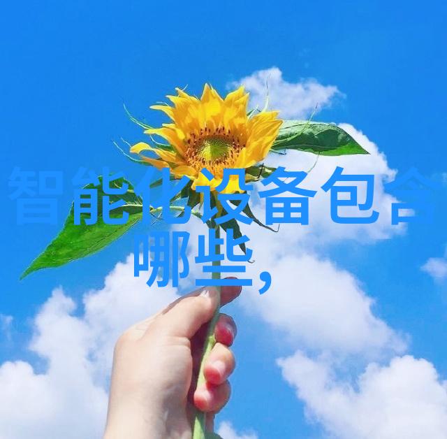智能交通解决方案-高效共享未来城市交通的智慧之选
