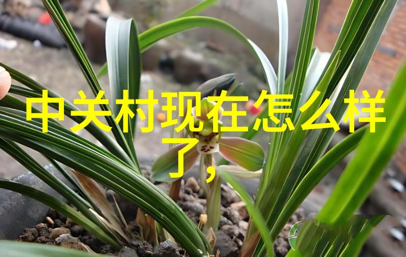 铜或铝哪一种金属材质更适合高压市政供水工程