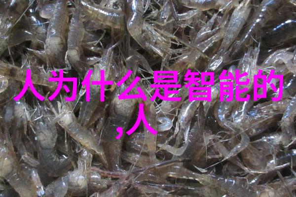 不锈钢管退火炉我的工业小秘密