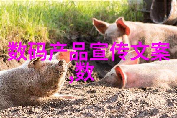 回收工厂旧设备的新篇章