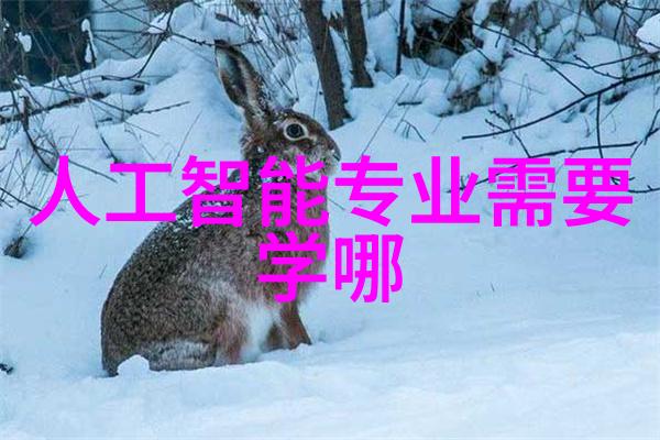 丝网规整填料型号的应用与选择