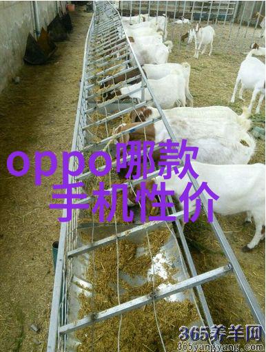 液力耦合器无级变速的精髓