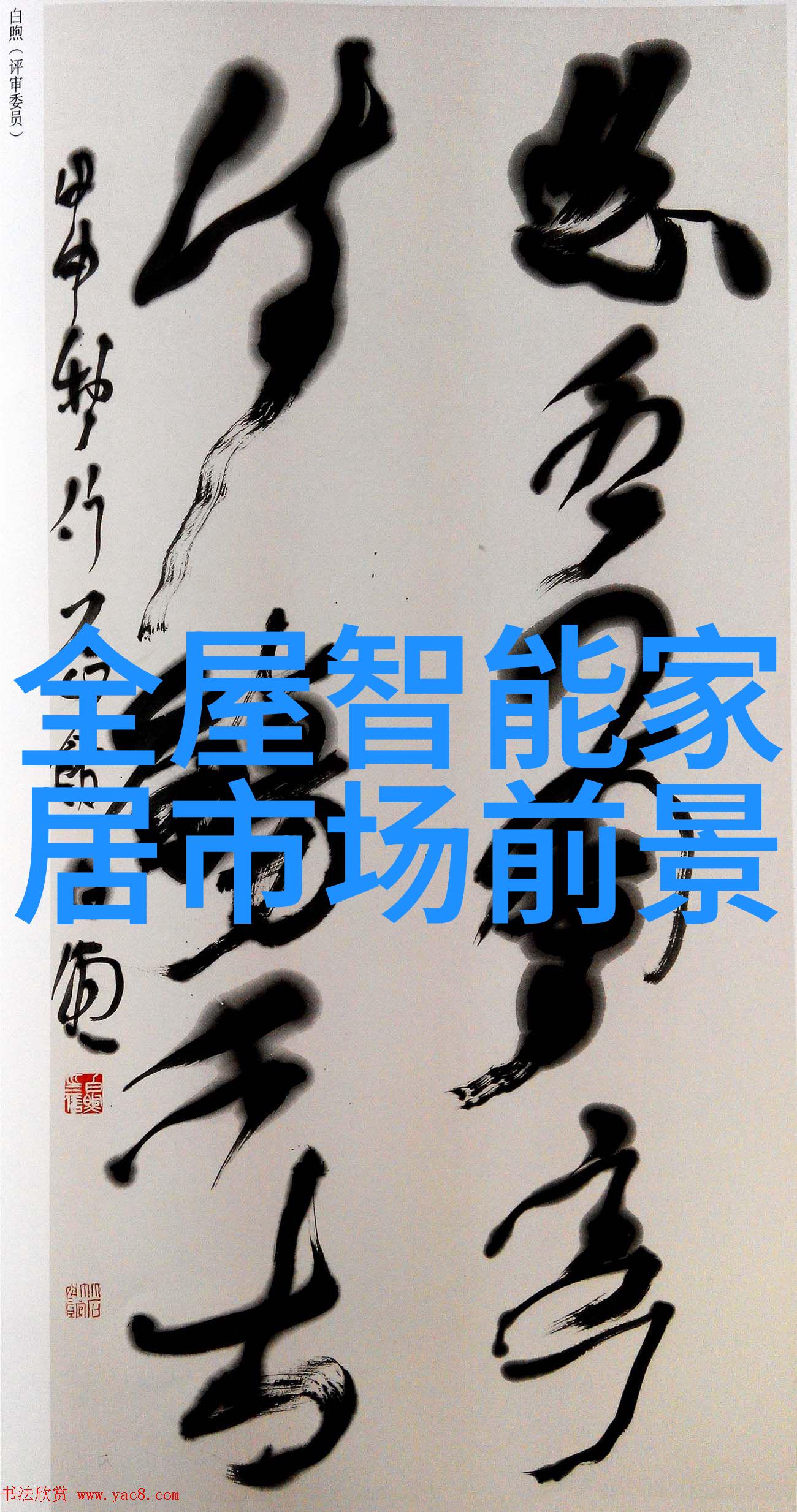 中国芯片惊天骗局我亲眼见证的芯片帝国揭秘背后惊人的欺诈