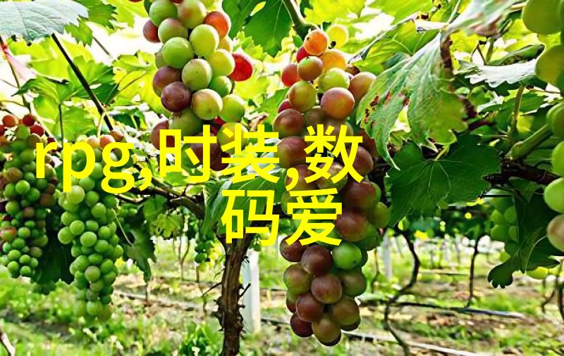 呼吸过度最新二季兔子装我的夏日救星