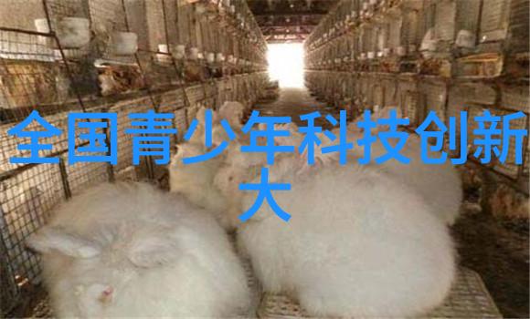 智能化技术革新生活的力量