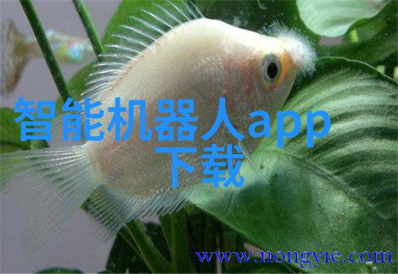 微型厨房美学小空间大变化的装修技巧与灵感