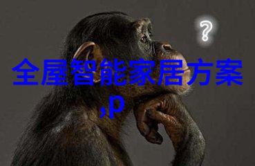 dn50金属环矩鞍填料hetp我是如何解决流体处理问题的