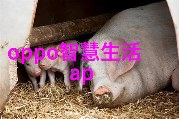 客厅餐厅二合一装修效果图我家这次翻新真的是心动了好久