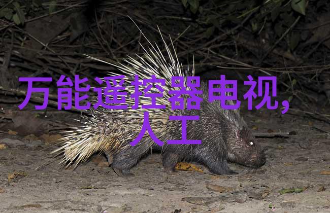 手机配件网我是怎么找到最合适的手机壳的