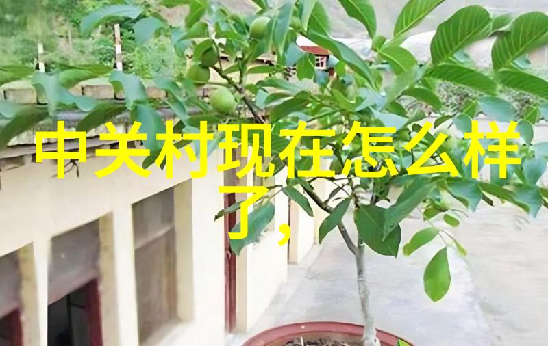 在选择北京等保测试评机构时我们应该考虑哪些关键因素