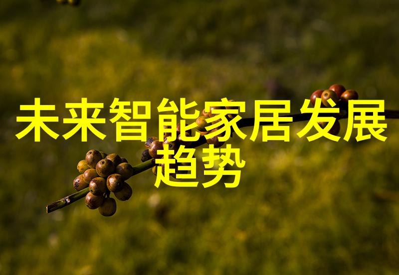 该校研究生院的国际交流项目设计得如何吸引海外学生