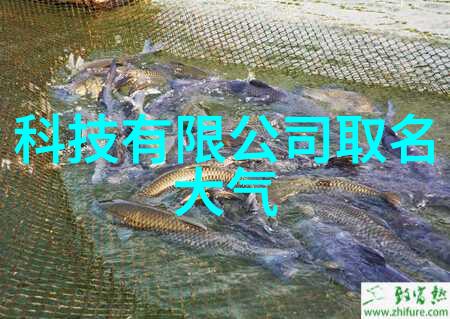 bac闭式冷却塔填料维护指南延长设备寿命