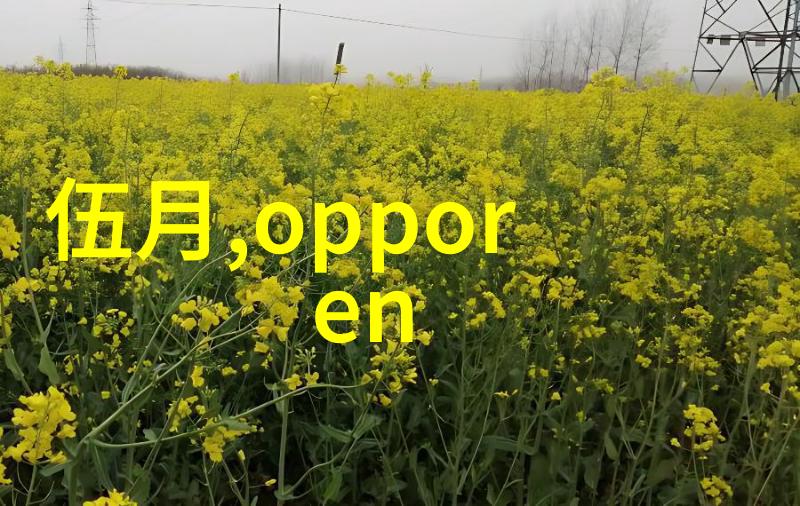 常州干燥设备我的小伙伴在干活儿时的贴心助手