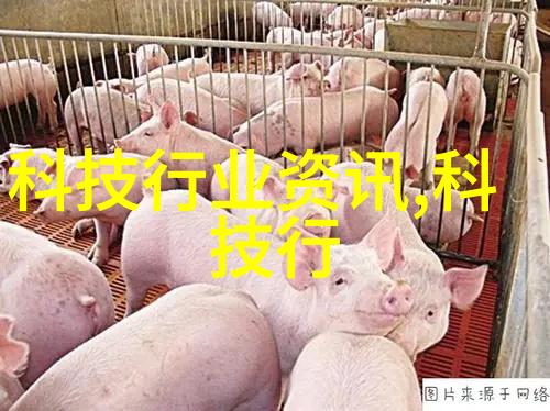 张警官9分11秒揭秘超人警徽背后的速度与勇气